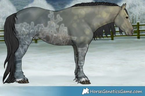 Horse Color:Brown Ice Rabicano 
