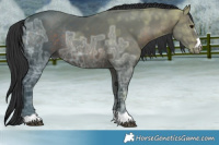 Horse Color:Brown Ice Rabicano