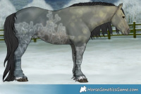 Horse Color:Brown Ice Rabicano