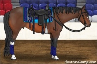 Horse Color:Bay Frame 