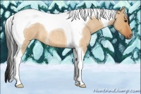 Horse Color:Bay Roan Dun Tobiano  and Bay Roan Dun Tobiano 