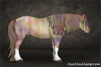 Horse Color:Nacre Liver Chestnut Pearl Sabino Tobiano