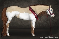Horse Color:Red Dun Roan Splash Frame Rabicano