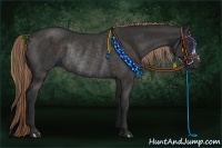 Horse Color:Liver Chestnut Rabicano 