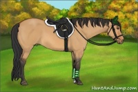 Horse Color:Bay Dun