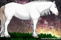 Horse Color:Brown Pearl Splash Varnish Rabicano
