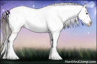 Horse Color:Bay Ice Appaloosa 
