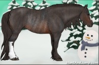 Horse Color:Brown Rabicano  Brindle