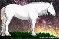 Horse Color:Perlino Sabino Appaloosa Rabicano