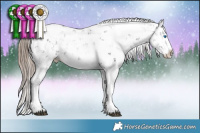 Horse Color:Liver Chestnut Sabino Splash 