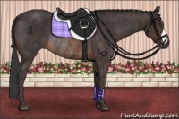 Horse Color:Brown Rabicano  Brindle