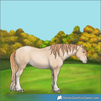 Horse Color:Buckskin Pearl 