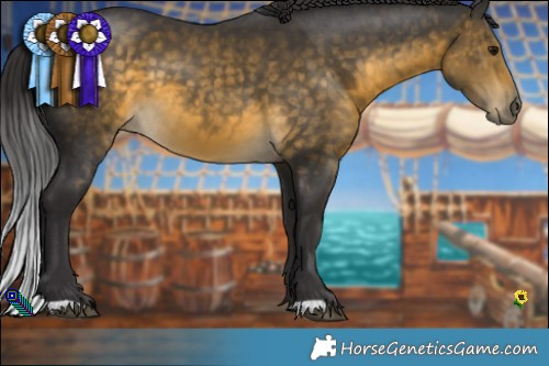 Horse Color:Buckskin 