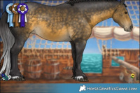 Horse Color:Buckskin 
