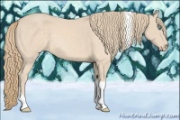 Horse Color:Perlino Tobiano