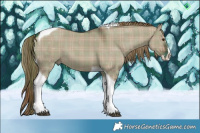 Horse Color:Plaid  Liver Red Dun Splash Tobiano 