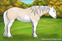 Horse Color:Silver Buckskin Pearl Splash 