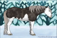Horse Color:Silver Black Ice Splash