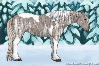 Horse Color:Silver Black Ice Tobiano 