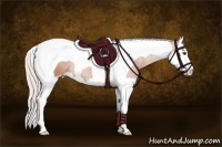 Horse Color:Silver Bay Splash Tobiano 
