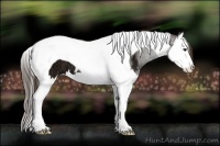 Horse Color:Liver Chestnut Ice Splash Tobiano 