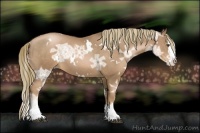 Horse Color:White Spotted Liver Chestnut Ice Pearl Splash 