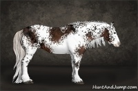 Horse Color:White Spotted Silver Brown Ice Splash 
