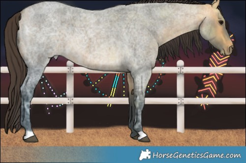 Horse Color:Buckskin Ice Roan