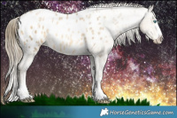 Horse Color:Buckskin Ice Pearl Appaloosa Rabicano Brindle