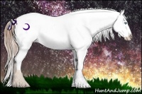 Horse Color:Buckskin Ice Pearl Appaloosa Rabicano  Brindle