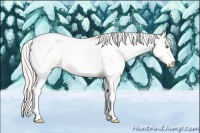 Horse Color:Silver Classic Champagne Sabino 