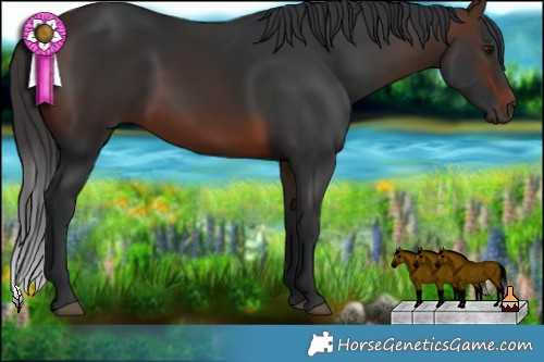 Horse Color:Brown 