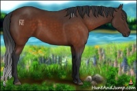 Horse Color:Brown 