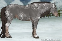 Horse Color:Liver Chestnut Ice 