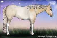 Horse Color:White Spotted Silver Bay Dun Sabino 