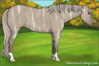 Horse Color:Silver Grullo Ice