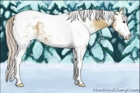 Horse Color:White Spotted Silver Bay Dun Tobiano 