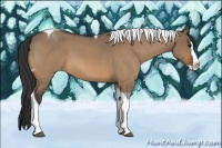 Horse Color:Bay Roan Dun Splash Tobiano Rabicano