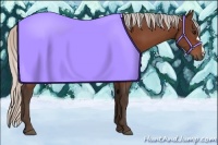 Horse Color:Silver Bay 