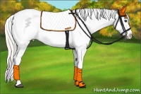 Horse Color:Silver Buckskin Roan Splash Appaloosa 