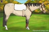 Horse Color:Buckskin Roan Dun 