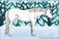 Horse Color:White Spotted Silver Brown Ice Dun Splash Tobiano
