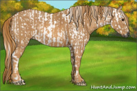 Horse Color:Gray Black Tobiano Brindle