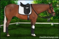 Horse Color:Silver Bay 