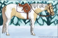 Horse Color:Palomino Dun Tobiano