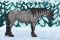 Horse Color:Blue Roan Tobiano Brindle