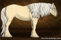 Horse Color:Palomino 
