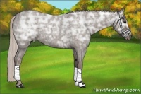 Horse Color:Silver Blue Ice Roan  Brindle