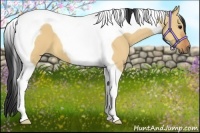 Horse Color:Bay Dun Tobiano 
