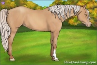 Horse Color:Silver Amber Champagne Frame 